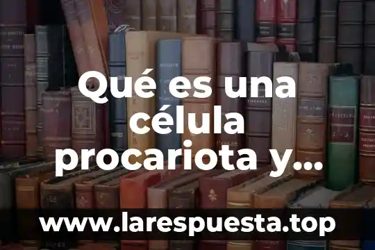 Investigar que es procariota 8 Qué es una célula procariota y sus características