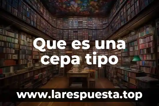 Que es una carta n5 5 Que es una cepa tipo