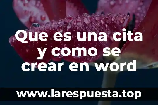 Que es una cita y como se crear en word