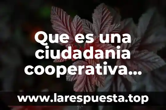 Que es una ciudadania cooperativa definicion