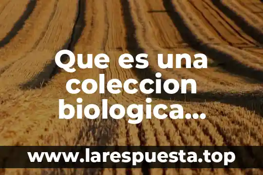 Qué es clasificación en ciencias naturales 8 Que es una coleccion biologica ciencias naturales