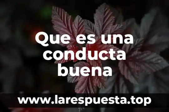 Que es un analisis funcional de la conducta 4 Que es una conducta buena