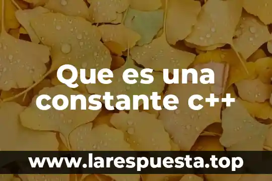 Que es el pasaporte mexicano segun lineamiento de sre 5 Que es una constante c++