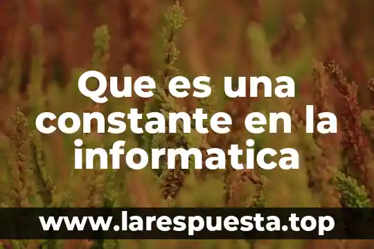 Que es pantone en informatica 8 Que es una constante en la informatica