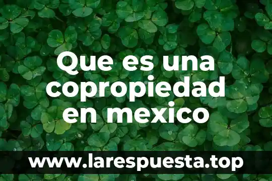 Que es una copropiedad en mexico