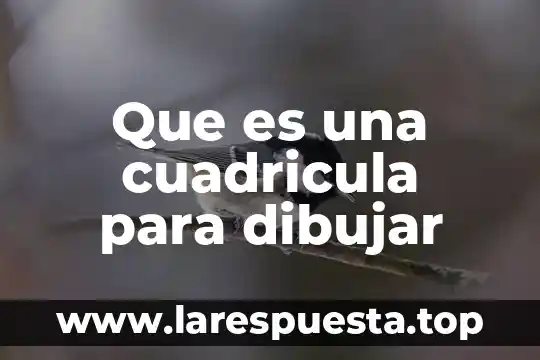 Que es una cuadricula para dibujar