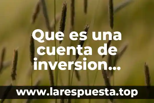 Que es un proyecto de inversion agropecuario 7 Que es una cuenta de inversion santander