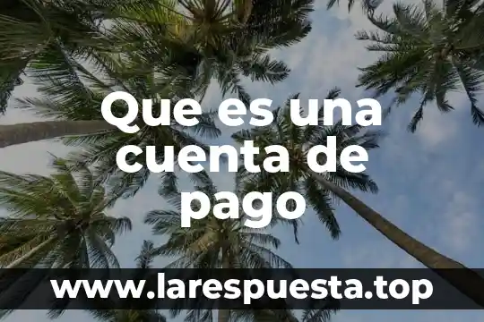 Que es una cuenta offshore 5 Que es una cuenta de pago