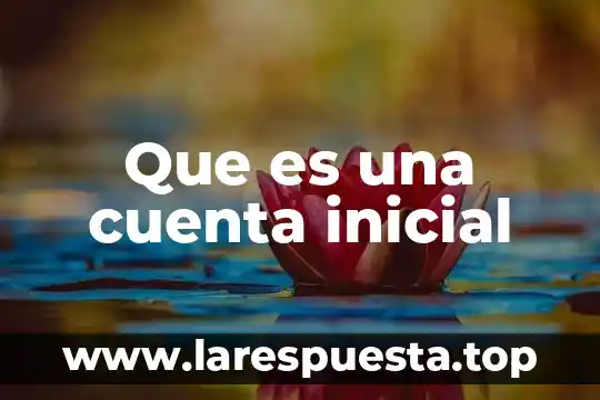 Que es el costo inicial o base no ajustada 6 Que es una cuenta inicial