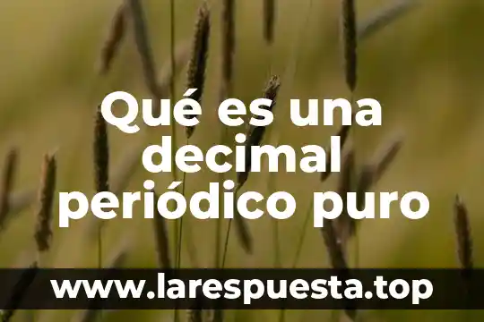 Qué es un resultado con punto decimal 3 Qué es una decimal periódico puro