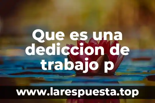 Que es minuta en trabajo social 3 Que es una dediccion de trabajo p