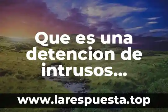 Que es una detencion de intrusos caracteristicas