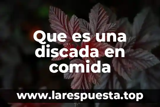 Que es el gas lp en comida 7 Que es una discada en comida