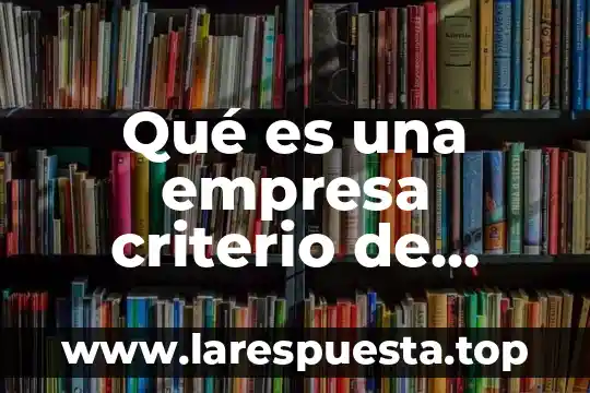 Qué es una empresa criterio de nacional financiera