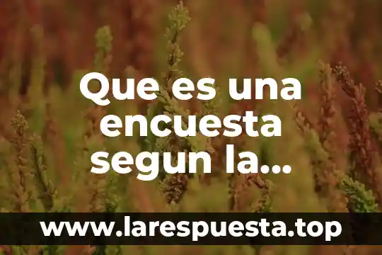 Mercadotecnia electronica que es 4 Que es una encuesta segun la mercadotecnia de relaciones