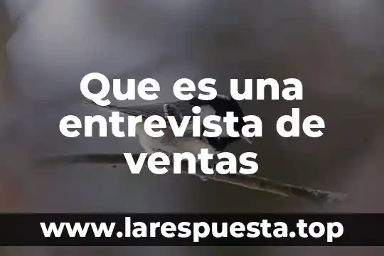 Que es una entrevista de ventas