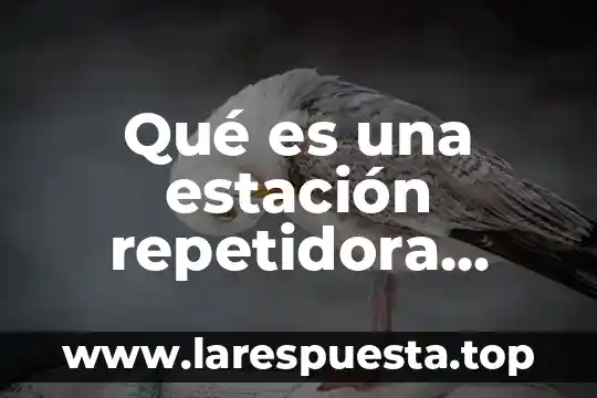 Que es un diagrama de ishicawa 6 Qué es una estación repetidora diagrama