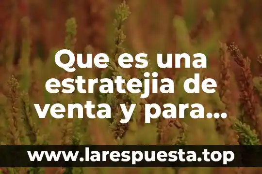 Qué es un lanzamiento horizontal o tiro parabólico características 3 Que es una estratejia de venta y para que cirve