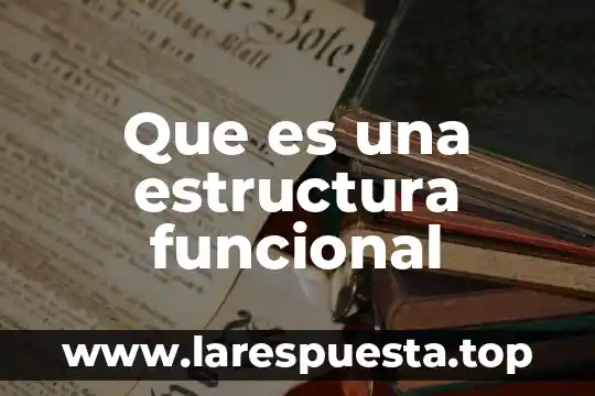 Que es el sincitio funcional 4 Que es una estructura funcional