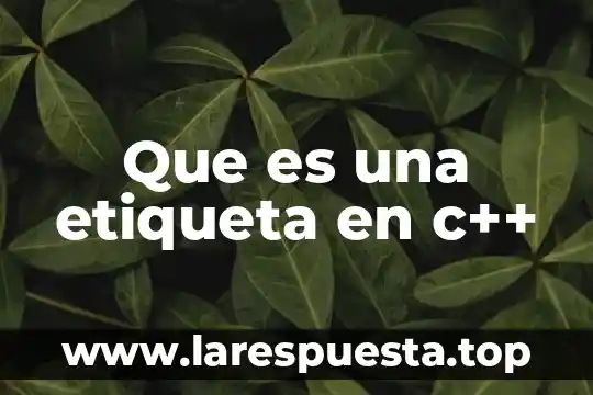 Que es ensamblado en c 5 Que es una etiqueta en c++