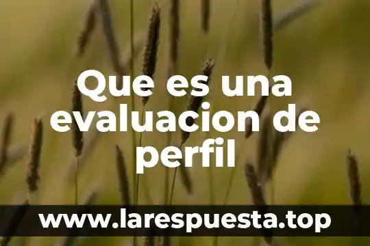 Que es una evaluacion de perfil