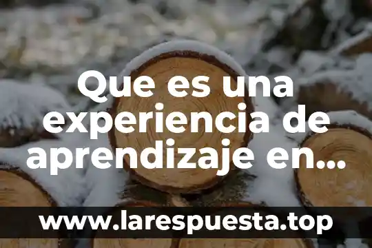 Que es el costo inicial o base no ajustada 8 Que es una experiencia de aprendizaje en educacion inicial
