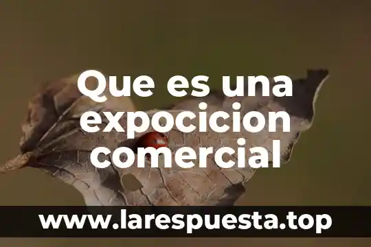 Que es el software y comercial 7 Que es una expocicion comercial