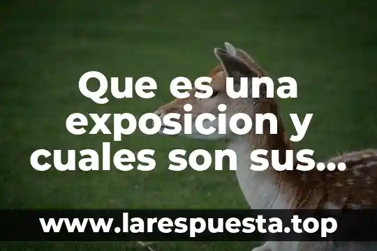 Que es una exposicion y cuales son sus principales caracteristicas