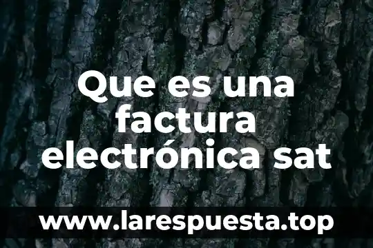 Que es el valor neto de una factura formula 3 Que es una factura electrónica sat