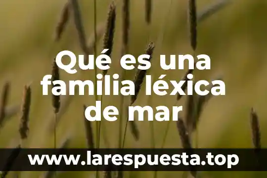 Qué es una familia léxica de mar