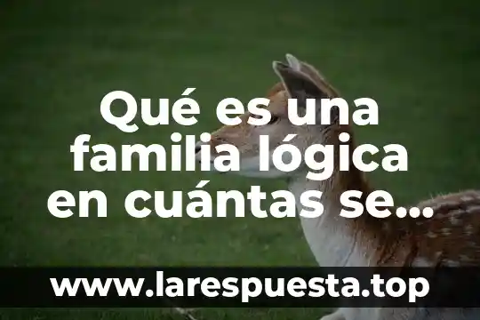 Qué es una familia lógica en cuántas se clasifica