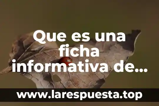 Que es una ficha informativa de la induccion electrica