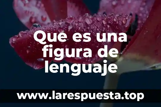 Que es una figura de lenguaje