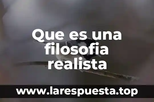 Que es una filosofia realista