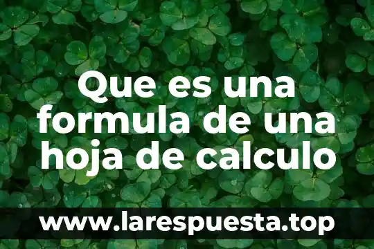 Que es una hoja de informacion 4 Que es una formula de una hoja de calculo