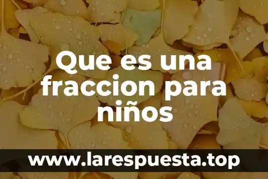Que es el redondeo para niños 6 Que es una fraccion para niños