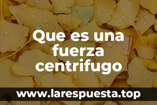Qué es la fuerza boyante 5 Que es una fuerza centrifugo