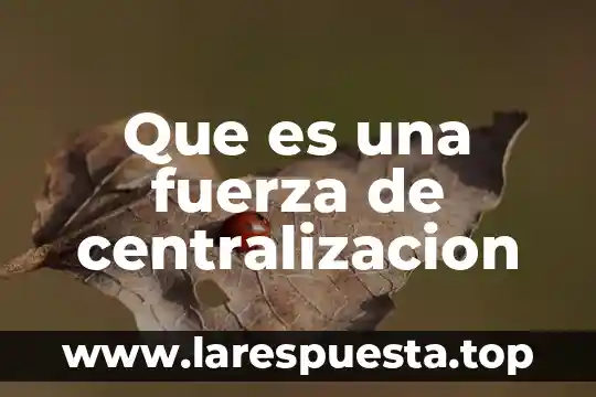 Qué es la fuerza boyante 6 Que es una fuerza de centralizacion