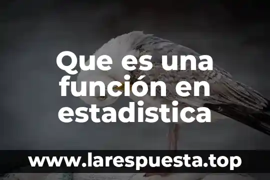 Que es una función en estadistica