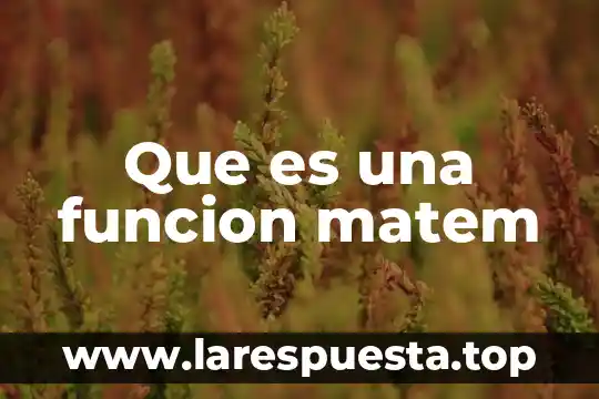 Qué es un nódulo y función 8 Que es una funcion matem