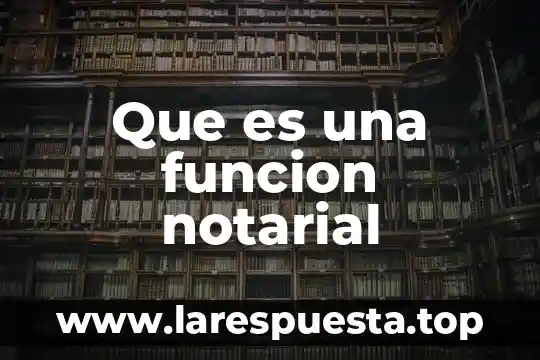 Que es una funcion notarial