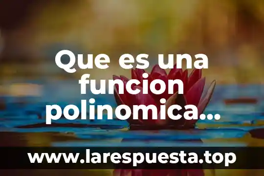 Que es funcion subsidiaria 3 Que es una funcion polinomica constante