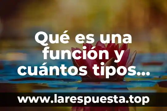 Qué es un residuo y cuantos tipos hay de residuos 8 Qué es una función y cuántos tipos de función hay