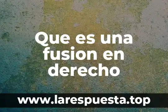 Qué es registro contable con objetivo 7 Que es una fusion en derecho