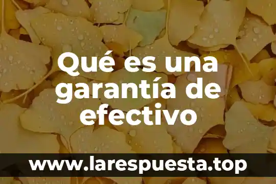 Qué es equivalente de efectivo 3 Qué es una garantía de efectivo