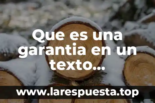 Que es una garantia en un texto argumentativo