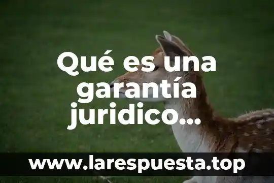 Que es cecretarse diccionario juridico 7 Qué es una garantía juridico política