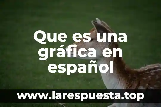 Que es dividir en logica 8 Que es una gráfica en español