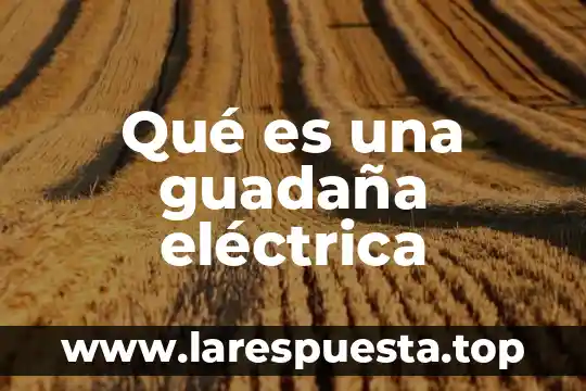 Qué es una guadaña eléctrica