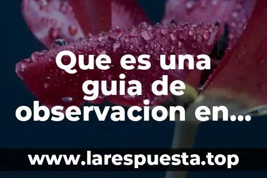 Que es y tipos de observacion 5 Que es una guia de observacion en una investigacion
